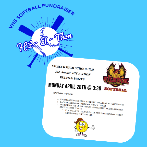 softball fundraiser flyer